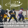 Первенство ГО Верхняя Пышма по хоккею с шайбой