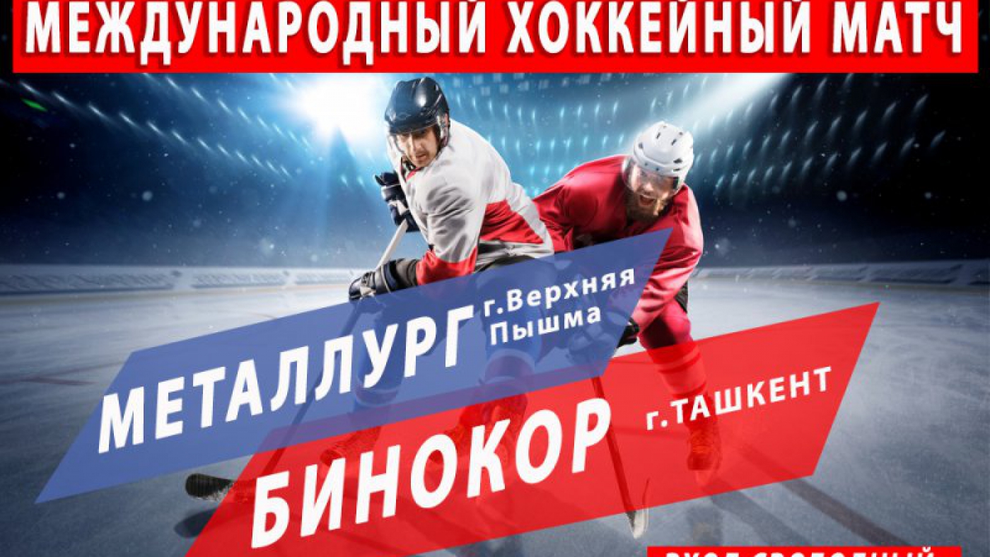 Международный хоккейный матч