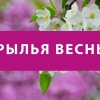 Крылья Весны