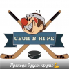 Следж хоккей на ледовой арене