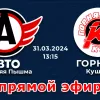 Трансляция матча Авто-В.Пышма-13-2 - Горняк-13