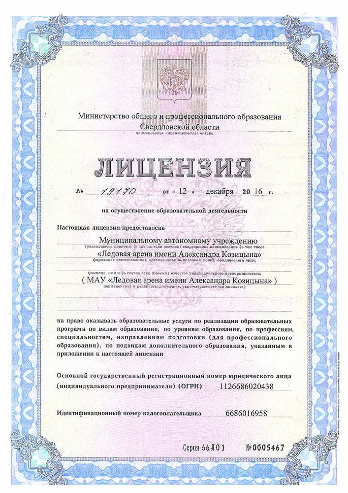 Лицензия на осуществление образовательной деятельности
