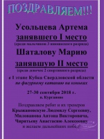 Достижения