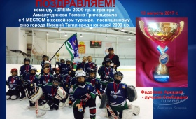 Достижения хоккеистов