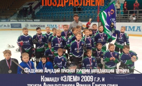 Достижения хоккеистов