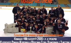 Достижения хоккеистов