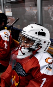 Хоккейный матч