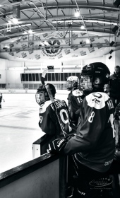 Хоккейный матч