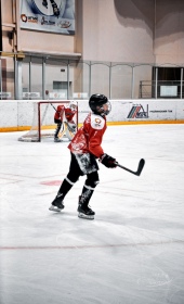 Хоккейный матч