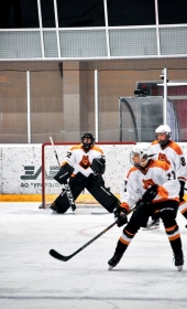 Хоккейный матч