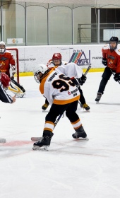 Хоккейный матч