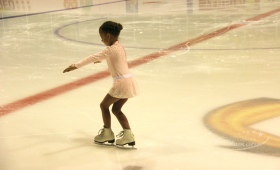 Крылья Весны