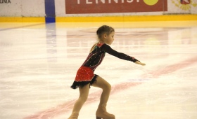 Крылья Весны