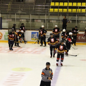 Турнир Чемпионов ГО Верхняя Пышма