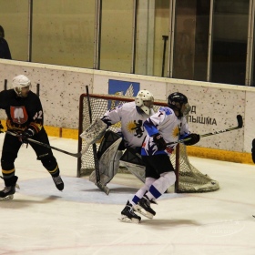 Турнир Чемпионов ГО Верхняя Пышма
