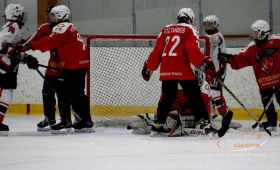 Металлург-2009 - Автомобилист-2009