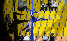 Акробатический номер