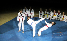 Выступление спортсменов по тхэквондо (СШ Лидер)