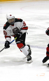 Хоккейный матч