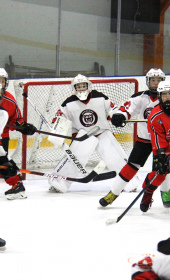 Хоккейный матч