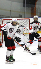 Хоккейный матч