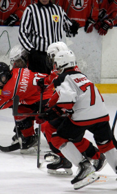 Хоккейный матч