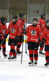 Хоккейный матч