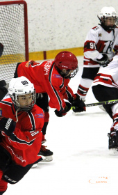 Хоккейный матч