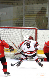 Хоккейный матч