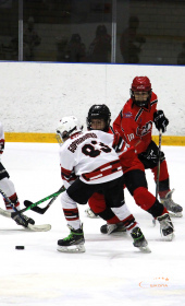 Хоккейный матч