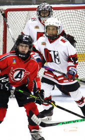 Хоккейный матч