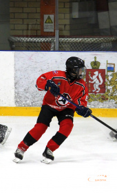 Хоккейный матч