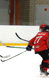 Хоккейный матч