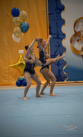 Кубок ЗТР С. Г. Плешкова