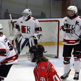 ХК «Авто – Верхняя Пышма» 2008 – ХК «D13» 2008