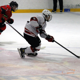 ХК «Авто – Верхняя Пышма» 2008 – ХК «D13» 2008