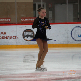 Первенство Верхней Пышмы «Медный конёк»