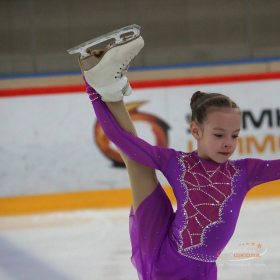 Первенство Верхней Пышмы «Медный конёк»