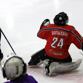 Мастер-класс по хоккею для вратарей