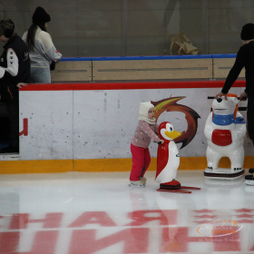 Ночное массовое катание на коньках