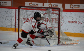 Авто-Верхняя Пышма - Олимпик