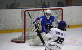 СШ А.В. Кожевникова - Барыс