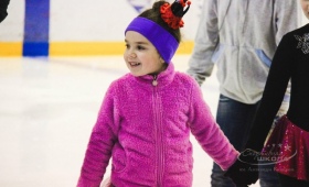 Новогоднее катание