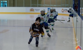 Турнир по хоккею