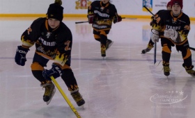 Турнир по хоккею