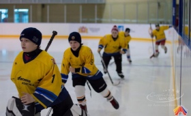 Турнир по хоккею