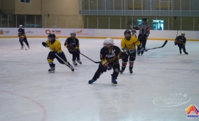 Турнир по хоккею