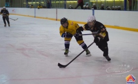 Турнир по хоккею