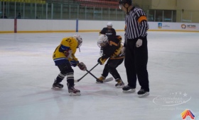 Турнир по хоккею