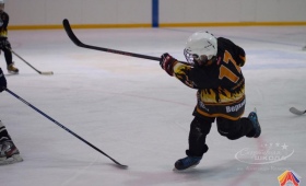 Турнир по хоккею